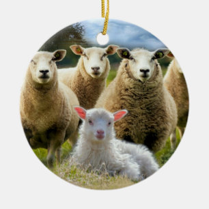 Sheep Flock Baby Lamb Ceramic Tree Decoration
