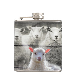Sheep Flock Baby Lamb Hip Flask
