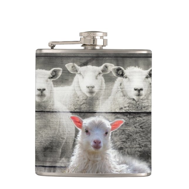 Sheep Flock Baby Lamb Hip Flask (Front)