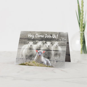 Sheep Flock Baby Lamb Invitation