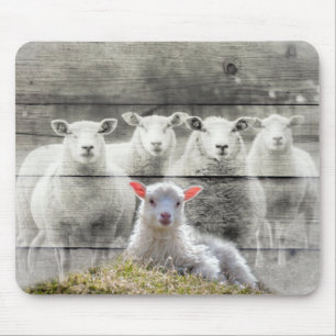 Sheep Flock Baby Lamb Mouse Pad