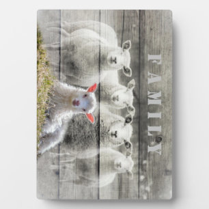 Sheep Flock Baby Lamb Plaque