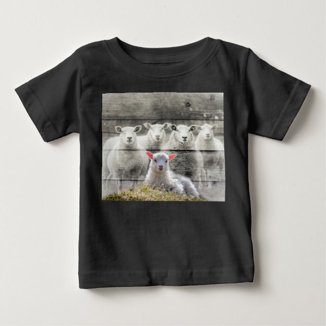 Sheep Flock Baby Lamb T-Shirt (Front)