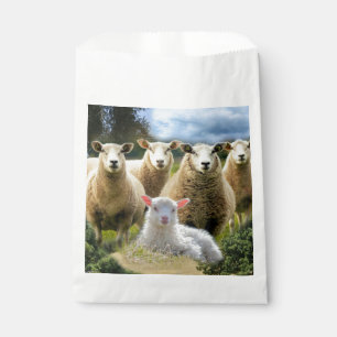 Sheep Flock Sheep Herd Baby Lamb Favour Bags