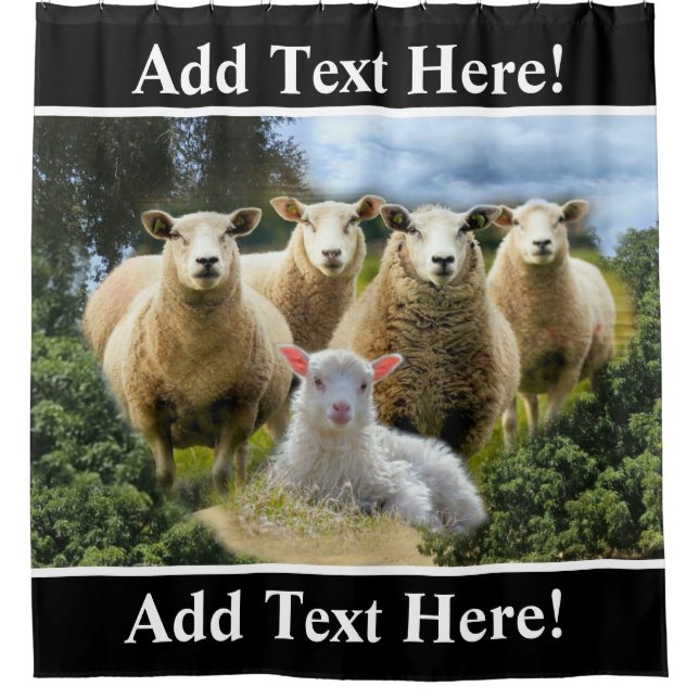 Sheep Flock Sheep Herd Baby Lamb Sheep Farm Shower Curtain (Front)