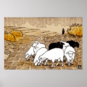Sheep Going To Pasture Poster