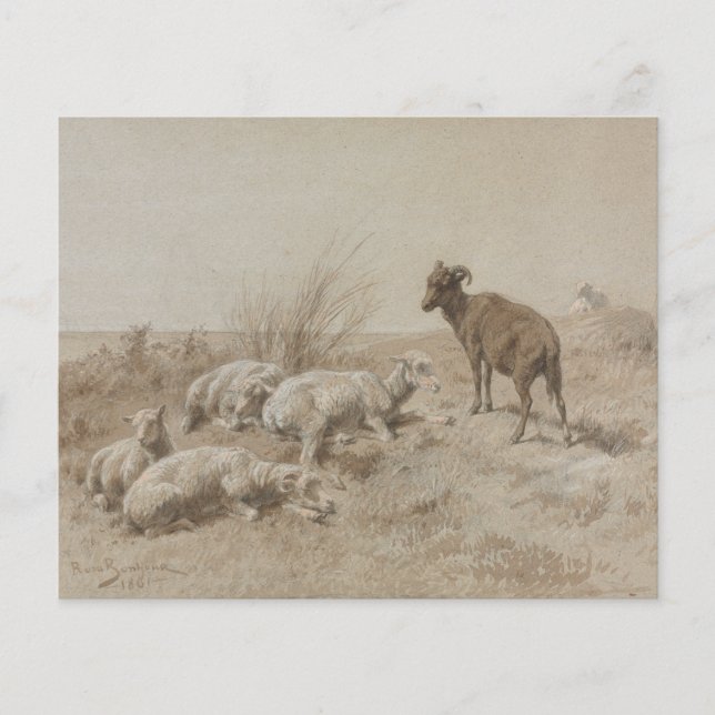 Sheep Graphite Artwork Scrapbook Paper (Front)