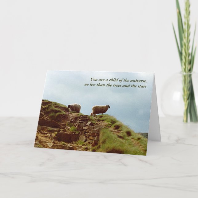 Sheep graze on a Mountain UK Peaks Desiderata card (Front)