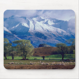 Sheep grazing below the snow-capped Harris Mouse Pad
