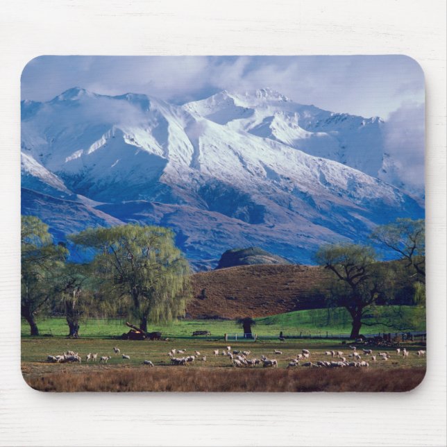 Sheep grazing below the snow-capped Harris Mouse Pad (Front)