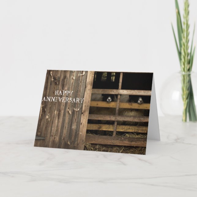 Sheep Happy Anniversary Card (Front)