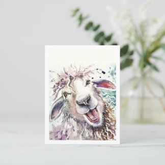 Sheep happy postcard