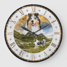 Sheep Herding Blue Merle Rough Collie Dog -