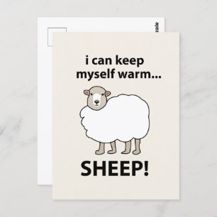 Sheep I Can Keep Myself Warm Sheep Postcard