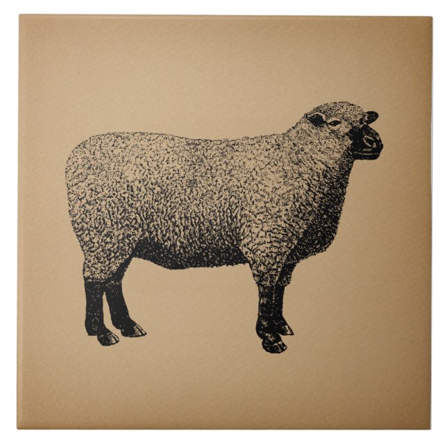 Sheep Illustration Vintage Art Tile (Front)
