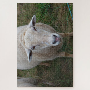 Sheep in a field jigsaw puzzle