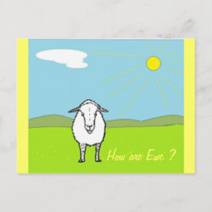 Sheep In A Field Postcard