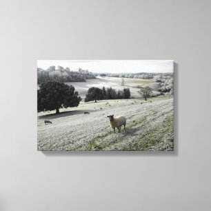 Sheep in a frosty valley canvas print
