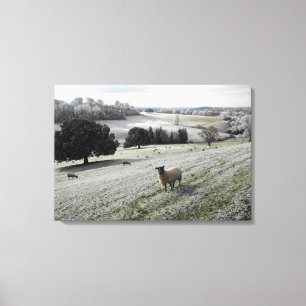 Sheep in a frosty valley canvas print