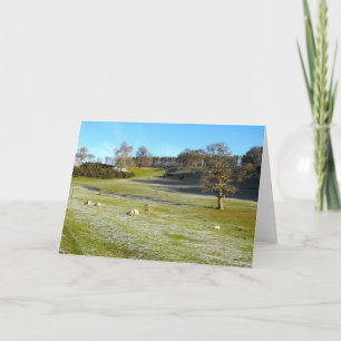 Sheep in a frosty valley holiday card