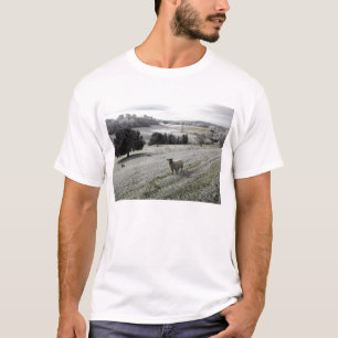 Sheep in a frosty valley T-Shirt