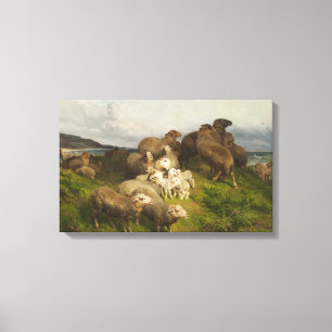 Sheep in a Meadow (by August Friedrich Schenck) Canvas Print