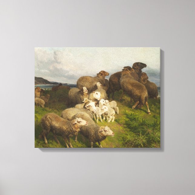 Sheep in a Meadow (by August Friedrich Schenck) Canvas Print (Front)