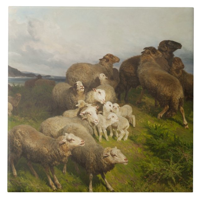 Sheep in a Meadow (by August Friedrich Schenck) Tile (Front)