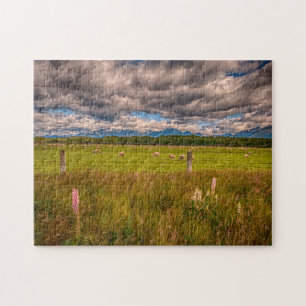Sheep in Fiordland, Te Anau, New Zealand Jigsaw Puzzle
