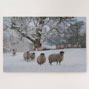 Sheep in Snow   Jigsaw Puzzle