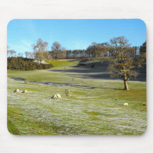 Sheep in the frosty valley mouse pad