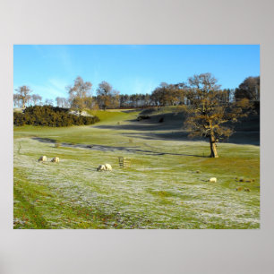 Sheep in the frosty valley poster