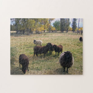 Sheep in the Pasture Jigsaw Puzzle