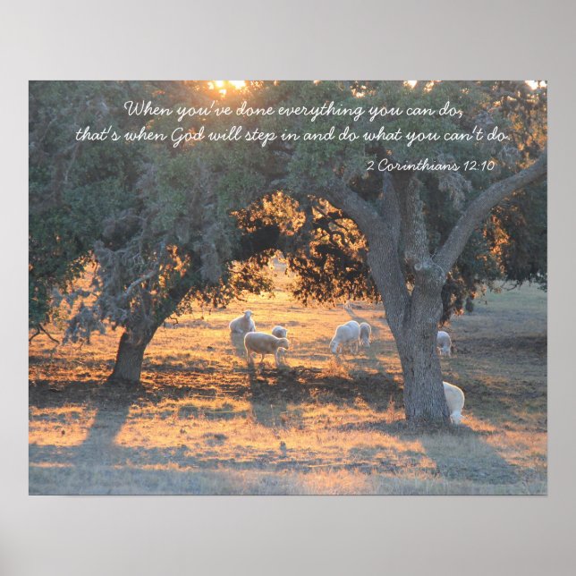 Sheep in the Texas Sunset,, Quote from Corinthians Poster (Front)