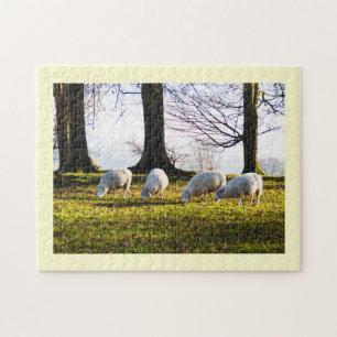 Sheep in the winter sun jigsaw puzzle