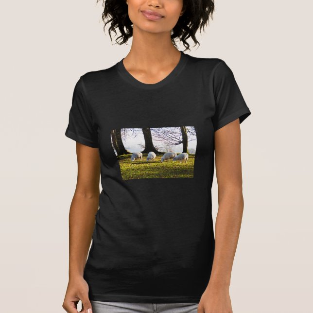 Sheep in the winter sun T-Shirt (Front)