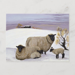 Sheep in Winter Postcard