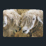 SHEEP iPad MINI COVER<br><div class="desc">Two beautiful Cotswold sheep captured photographically in a funny and humourous moment talking to each other. Cotswold sheep originate from the Cotswolds in England and are bred for their wool and meat. They have long fleeces with an almost golden tint to it.</div>