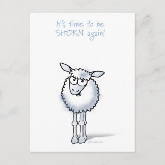 Sheep: It's time to be shorn again! Postcard