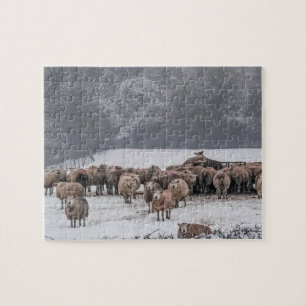 Sheep Jigsaw Puzzle