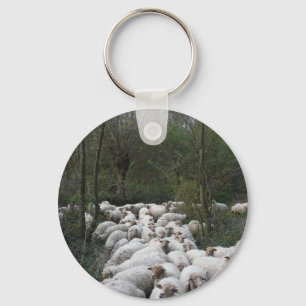 Sheep Key Ring