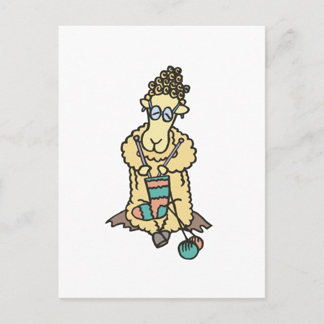 Sheep Knitting Postcard (Front)