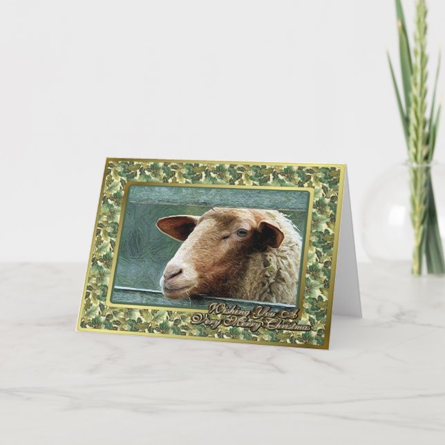 Sheep Lamb Blank Christmas Card (Front)