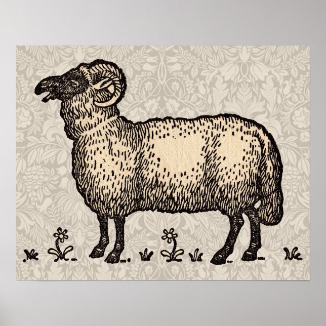 Sheep Lamb Farm Animal Vintage Poster (Front)