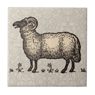 Sheep Lamb Farm Animal Vintage Tile