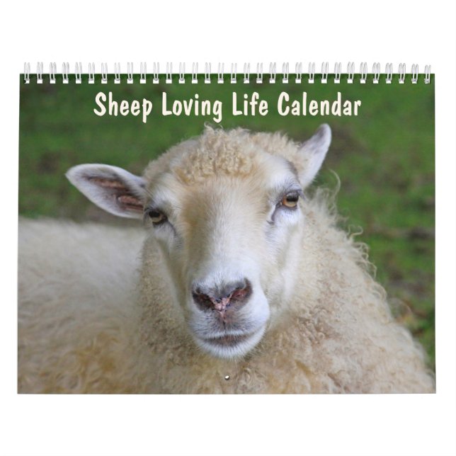 Sheep Loving Life Calendar (Cover)