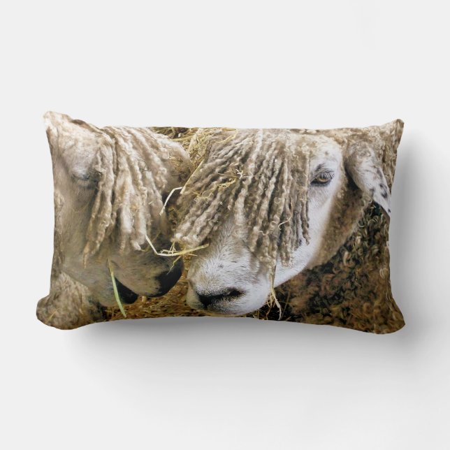 SHEEP  LUMBAR CUSHION (Front)