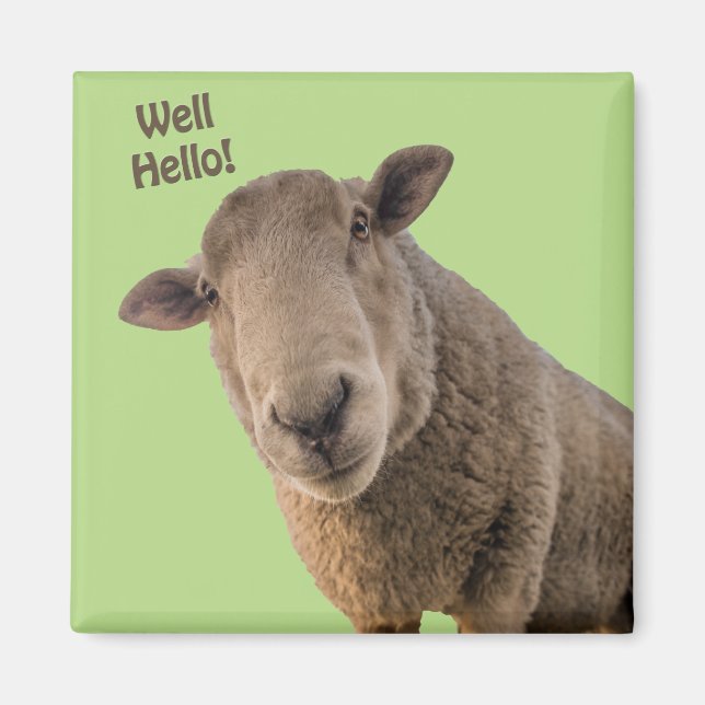 Sheep Magnet (Front)