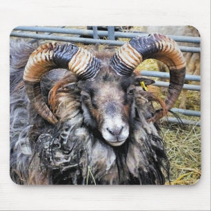 SHEEP MOUSE PAD