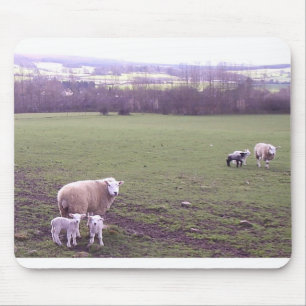 Sheep Mouse Pad